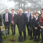 Tree Planting