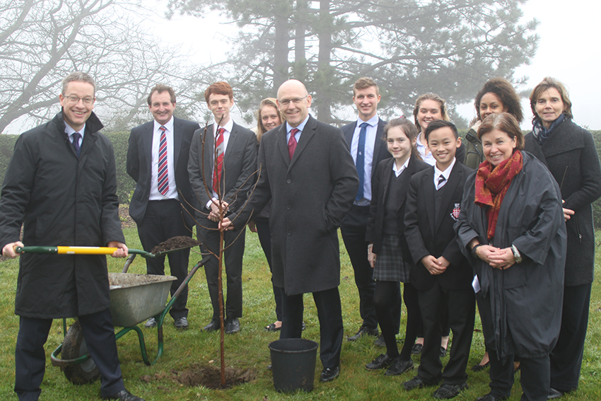 Tree Planting