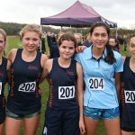 St Swithun's cross country