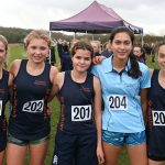 St Swithun's cross country